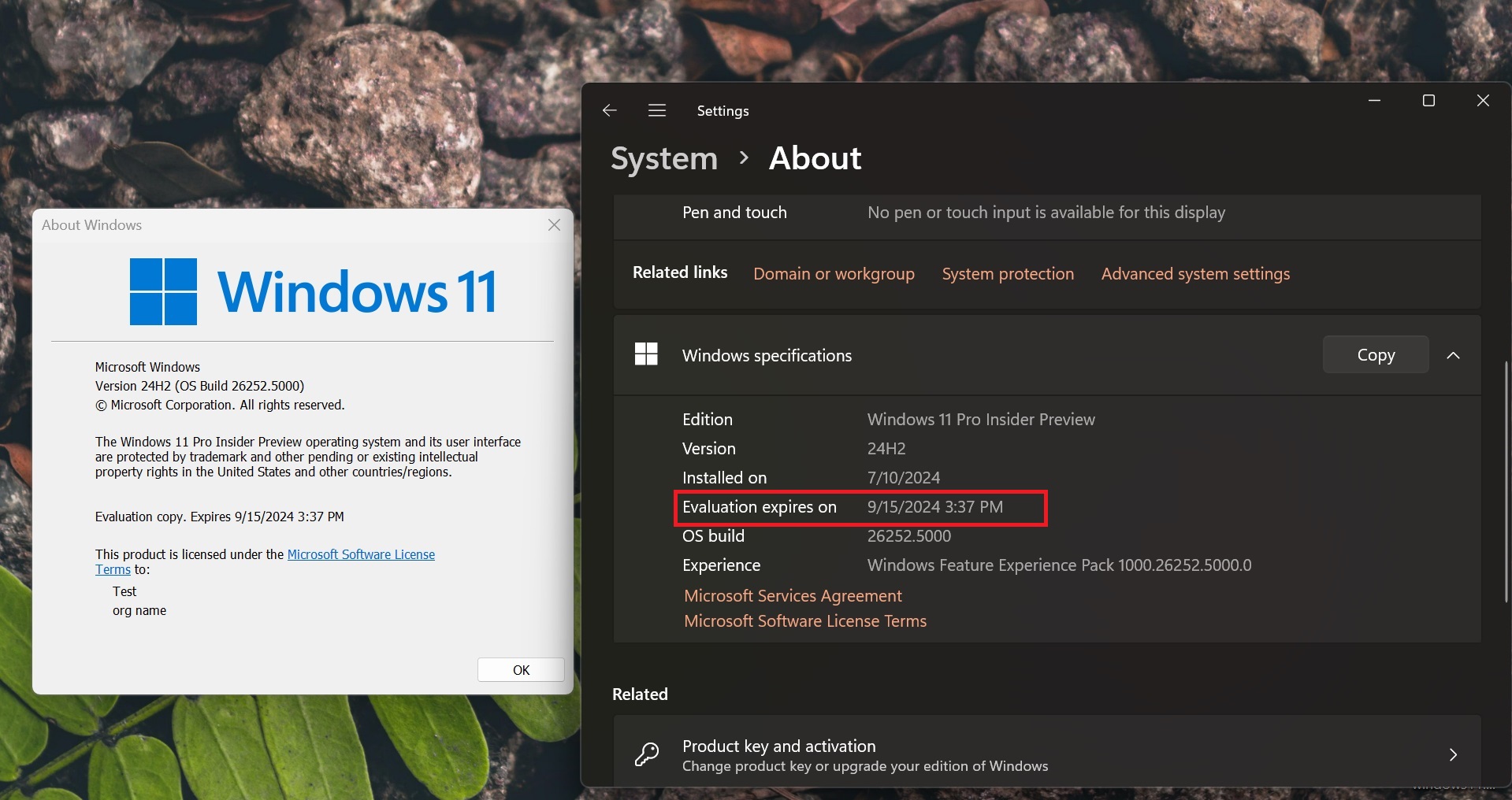 build expiry information in the settings app in windows 11 24h2