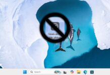 How to remove the “Learn more about this picture” icon in Windows 11