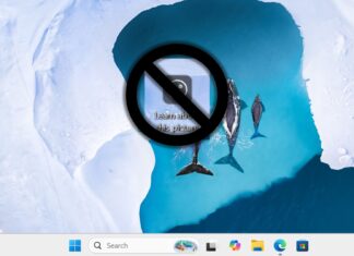 How to remove the “Learn more about this picture” icon in Windows 11