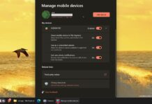 Phone Storage in Windows 11