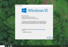 Windows 10 KB5040525 introduces several fixes (direct download links)