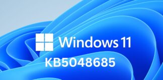 Windows 11 KB5048685 update