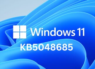 Windows 11 KB5048685 update