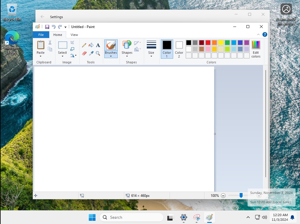 windows 11 ltsc 2024 paint app