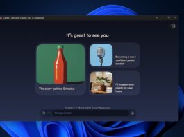 Windows 11 native Copilot app