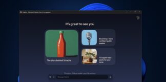 Windows 11 native Copilot app