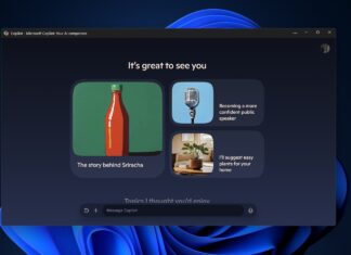 Windows 11 native Copilot app