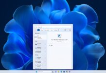 Windows Search on Windows 11